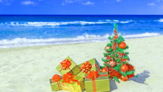 Things To Do In Goa Christmas Holidays