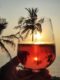 Best Vegetarian Restaurants in North Goa